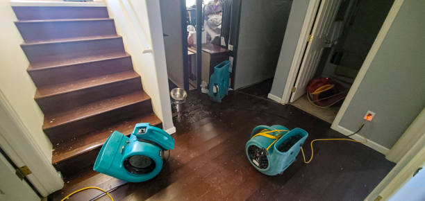 Best Sewage cleanup and water damage restoration  in Manville, NJ