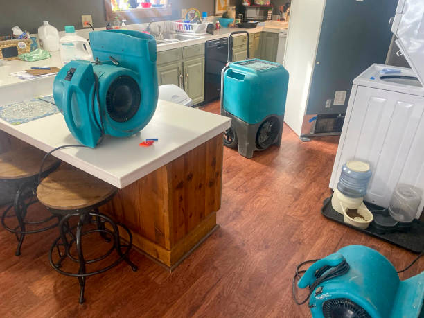 Best Basement water damage restoration  in Manville, NJ