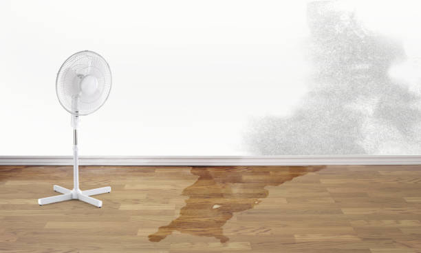 Best Water damage mitigation services  in Manville, NJ