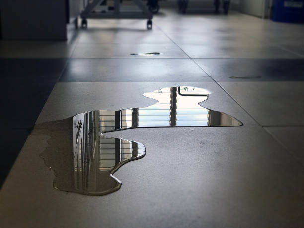 Best Commercial water damage restoration  in Manville, NJ