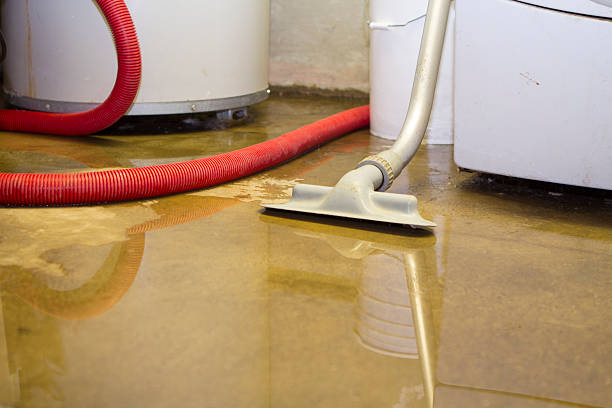 Best Flooded house restoration  in Manville, NJ