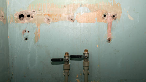 Best 24-hour water damage restoration  in Manville, NJ